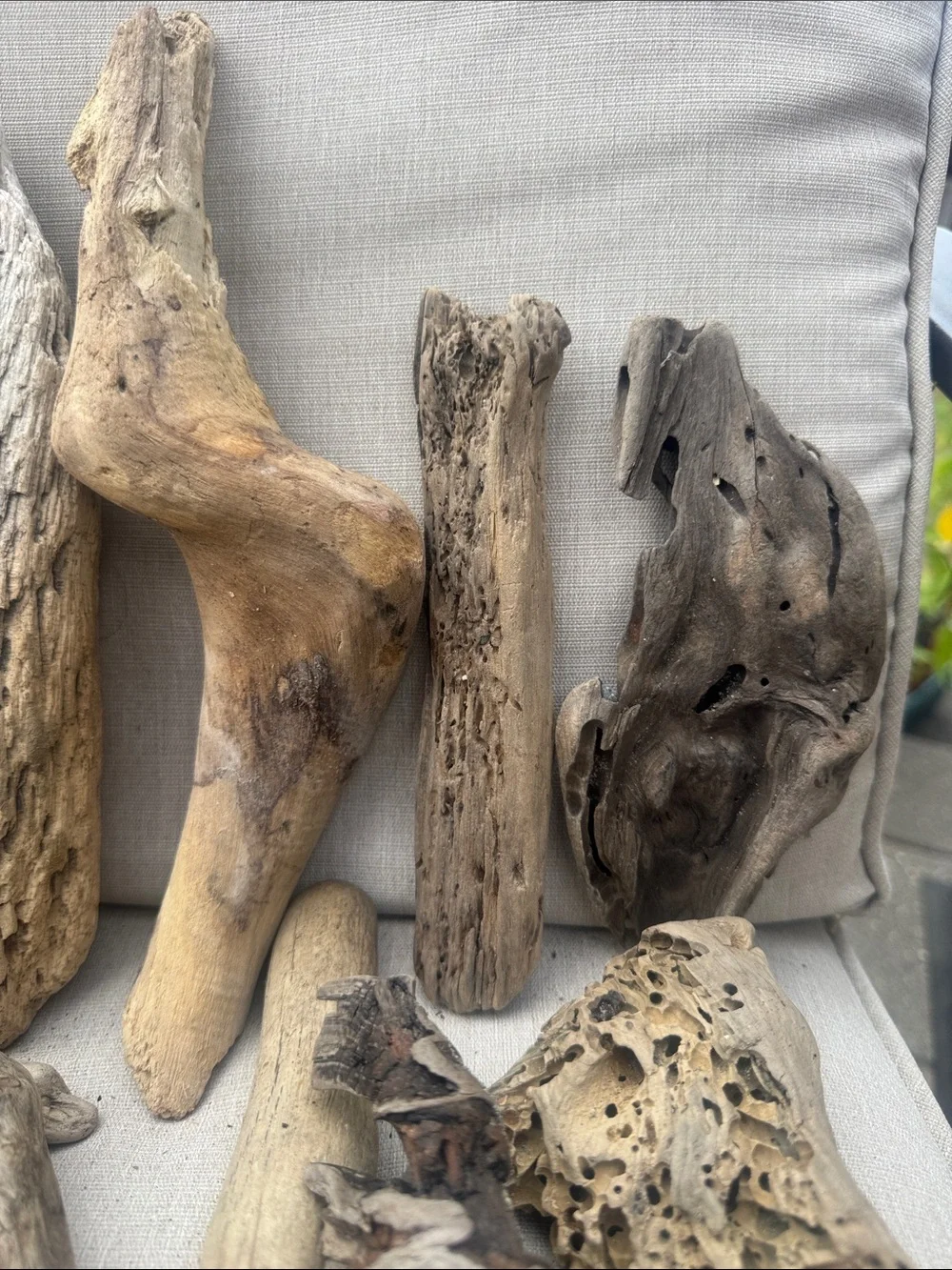34 Pc (5lbs shipped) Box of beach Natural Driftwood Pieces for craft or decor